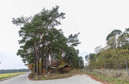 Insel Der Erholung Wohlfühlbungalow - Foto 10