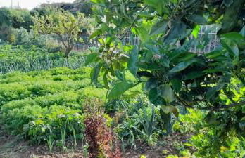 CASA LA LUNA - Foto 14