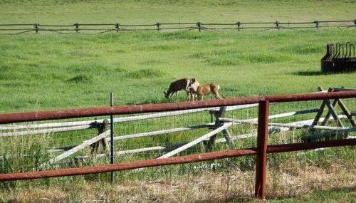 Cozy Accommodation with Breakfast Included in Meeteetse, Wyoming - Foto 5