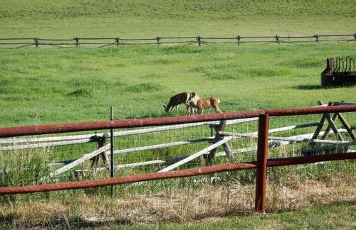Cozy Accommodation with Breakfast Included in Meeteetse, Wyoming - Foto 5