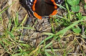 Marmot Apartment - Photo 37