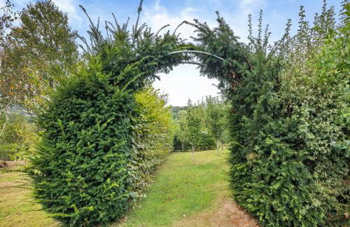 Field View - Foto 17