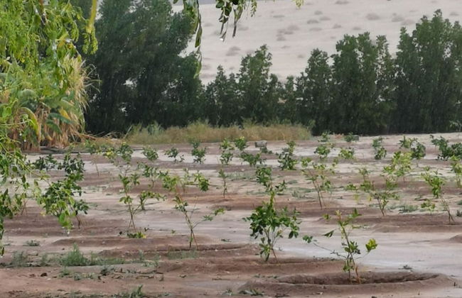 Almazham Farm House In Madin Saleh Alula - Foto 13