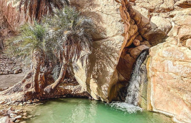 Tamerza, Chebika, & Midès Day Trip - Foto 7