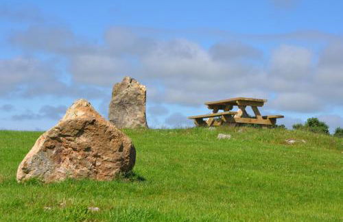 The Barn at Cae Bach - Foto 63