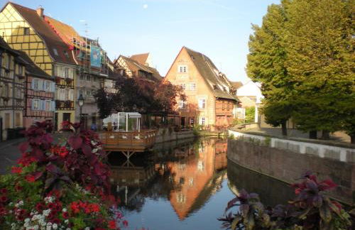 Un séjour ressourçant en Alsace entre vignes et montagnes l'Escapade Barochaise à 20mn de Colmar - Foto 24