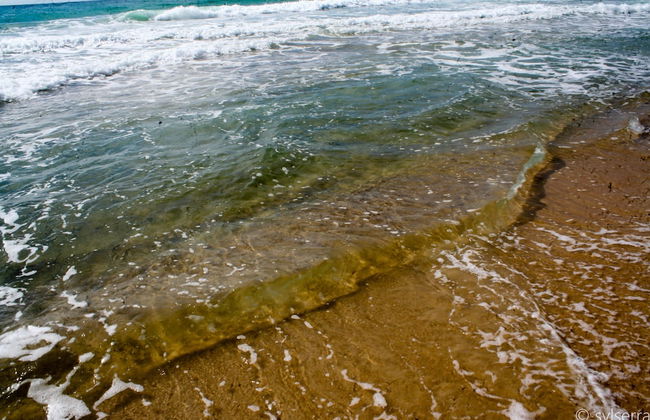 Recanto do Encanto Eco Beach Stay - Foto 36