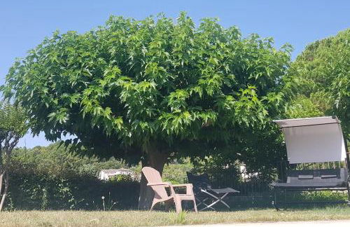 Sous le Grand Pin Piscine & Spa Gîtes Éden en Cévennes à Anduze Gard - Foto 6