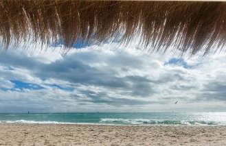 Benal Beach Vibe - Foto 44