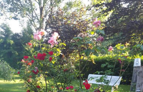 Ferienwohnungen Warnken - Foto 49