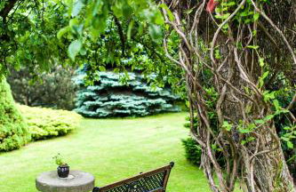 Agroturystyka Wzgórze Magnolii - Foto 1