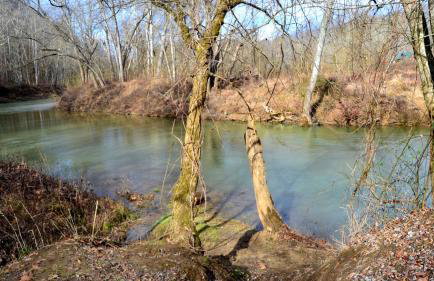 Restful River Cabin, Red River Gorge, KY, River Access & Views - Foto 40