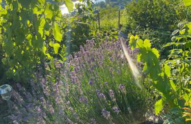 Apartment an der Mosel 2 - Foto 35