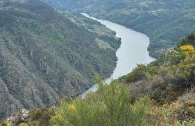 Casa da Baltasara - Foto 19