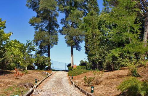 Quinta de Santa Luzia - Foto 46