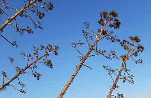 Casa Romano - Marina di Modica - Foto 64