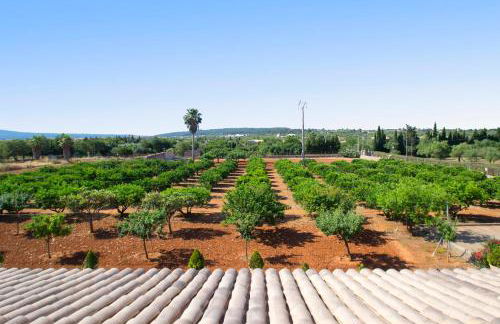 Villa Santa María Dreams AWARDED 2025 - Foto 21