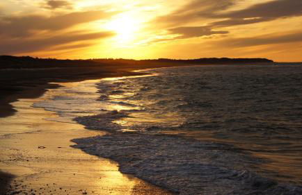 Ferienhaus Strandmuschel am Ostseestrand Zierow - Photo 1