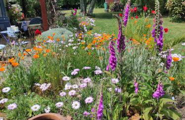 grand studio duplex avec jardin - Foto 16