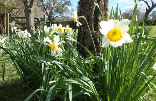 Orchard Farm Luxury Glamping and Campsite - Photo 23