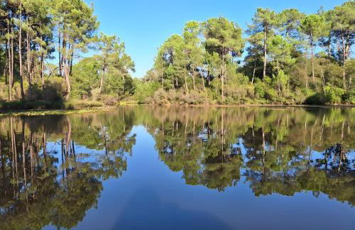 Villa Mimosa - Vue Exceptionnelle - Photo 22