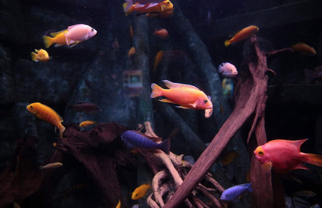 Dingle Bay View - Photo 6