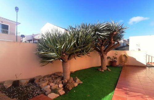 O DRAGOEIRO da Madalena! - Foto 44