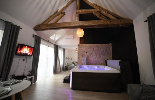 Eaudyssée maison avec SPA privée - Loiret - Photo 10