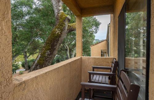 Mid-Mod Hilltop Retreat Views & Local Wildlife - Foto 25