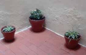 - Antina Firenze - - Foto 6