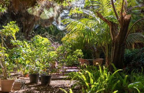 Vivelorural Casita Vintage, Santa Brígida - Foto 49