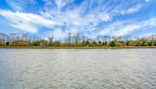 Awendaw Retreat 2 BR Cottage BBQ & Fire Pit - Foto 5