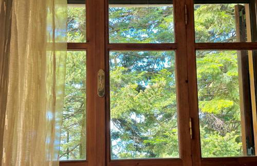 Forest cottage top of the world - Foto 24