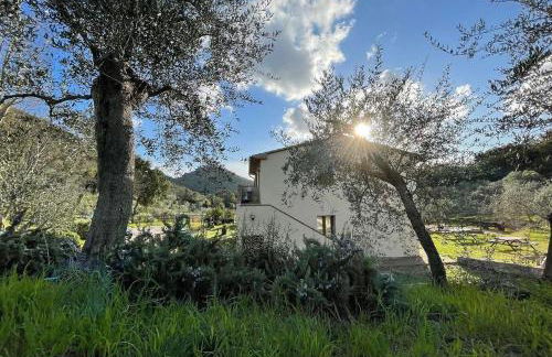 Agriturismo Il Sorbo Appartamento Lavanda - Foto 13
