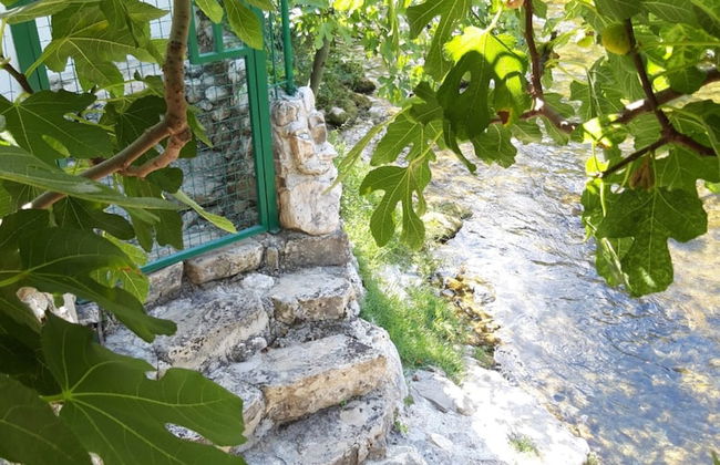 House With Large Garden, Right Next to the River - Foto 35