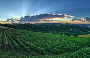 I Tre Poggi Dimora di Charme - Foto 23