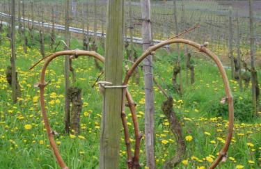 Ferienhaus Zenz - Ferienwohungen - Foto 41