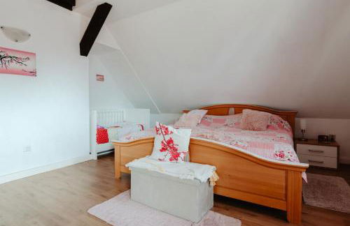 Olifant in Osterode - Foto 28