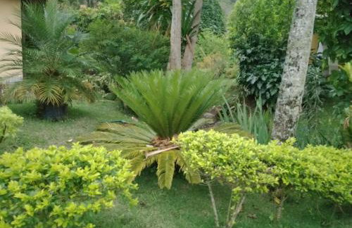 Quinta da Pedra do Elefante - Foto 56