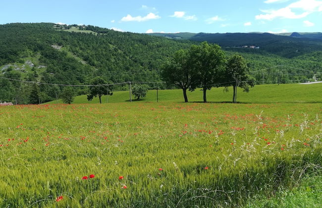 La Cartiera dei Benandanti - Foto 33