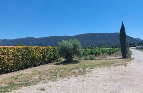 La maison d'Antoine à Robion - Foto 25