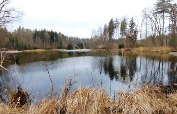 Ferienwohnung Hecht - Biketrail Fun & Relaxing - Photo 22