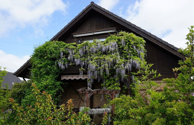 Apartment in Neu Ludershagen With Terrace - Foto 17