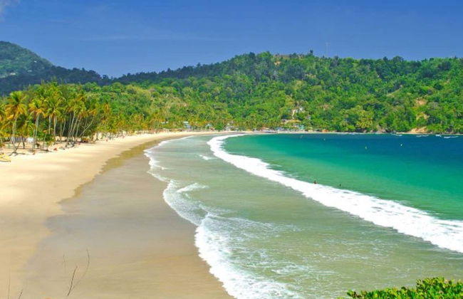 Excursion à la plage de Maracas - Photo 1