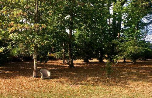 Villa Tidinghi, plage de Rospico à pied - Photo 75