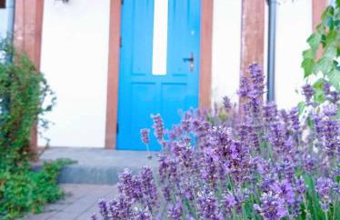 Żuławska Osada - Foto 46