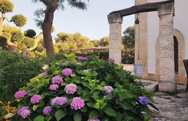 Masseria La Foggia - Foto 27