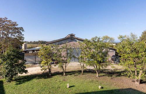 Nuova Scardua Agr Cucina Tipica - Foto 12