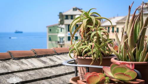 La terrazzina sul mare - Foto 3