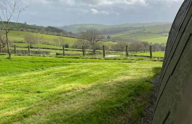 The Pod Patch - Bryn Pod - Foto 8